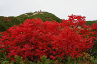 五竜岳・唐松岳