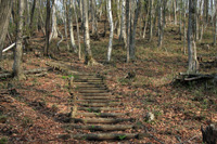袈裟丸山