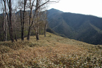 袈裟丸山