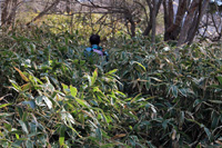 袈裟丸山