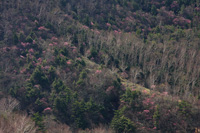 袈裟丸山