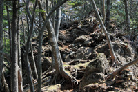 袈裟丸山