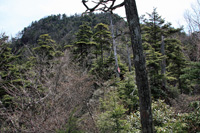 袈裟丸山