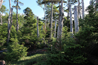 女峰山