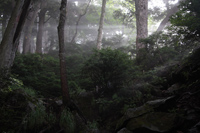 女峰山