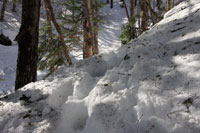 白根山