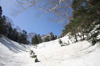 白根山