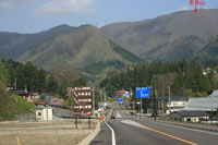 若見山-イワウチワ