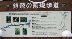 雄飛の滝氷柱群