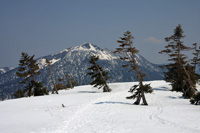 景鶴山