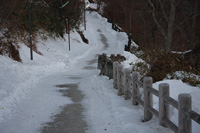 那須　(北温泉-中の大倉尾根)