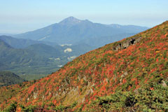 磐梯山を望む