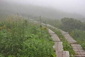 弥陀ヶ原