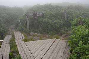 いよいよ月山登山