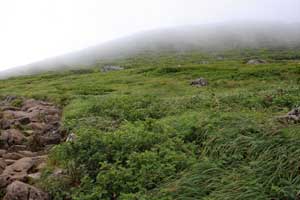 前方の山はオモワシ山