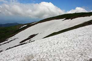 頂上部には月山名物の雪渓が広がる 