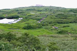 弥陀ヶ原湿原を俯瞰する。 