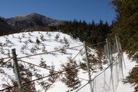 前黒山