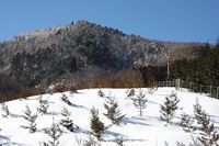 前黒山
