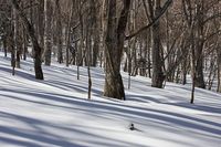 前黒山