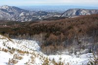 前黒山