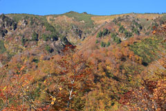 三ツ岩岳