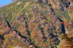 山ツ岩岳