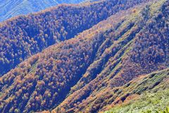 三ツ岩岳