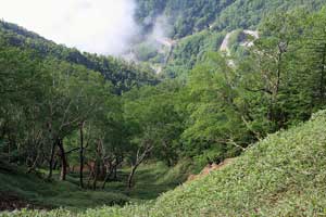 根名草山