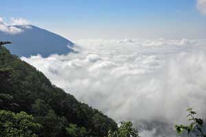 根名草山