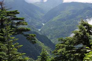 根名草山