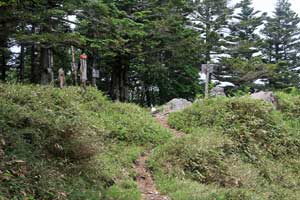 根名草山