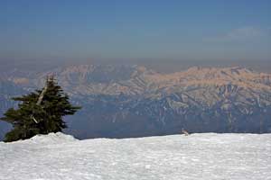 至仏山