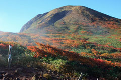 秋田駒ケ岳