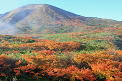 秋田駒ケ岳