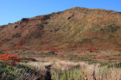 秋田駒ケ岳