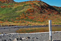 秋田駒ケ岳