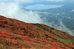 秋田駒ケ岳
