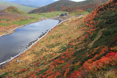 秋田駒ケ岳