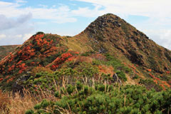 秋田駒ケ岳