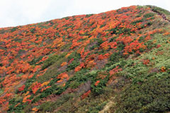 秋田駒ケ岳