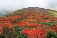 秋田駒ケ岳