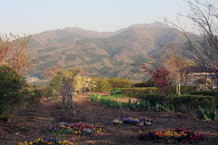 子持山