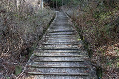 子持山