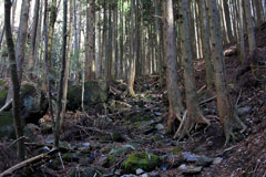 子持山