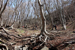 子持山