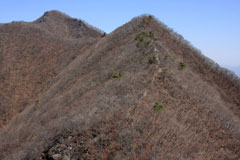 子持山