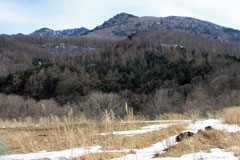 前黒山