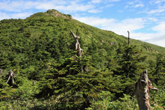 至仏山