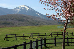 蓼科山